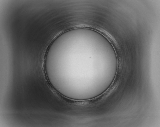 X0000102280793200807250940