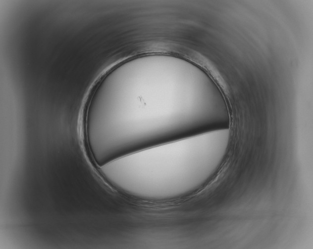 X0000102280795200807250940