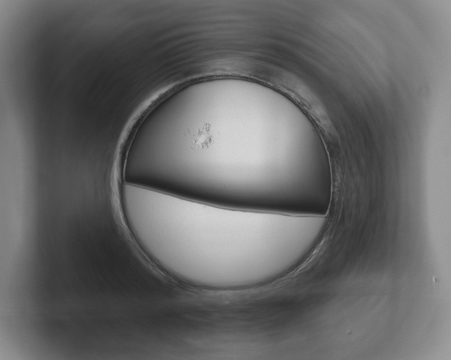 X0000102280796200807250940