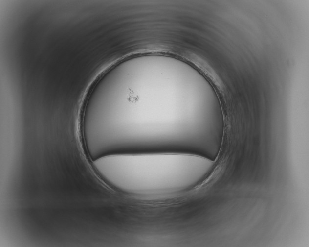 X0000102280797200807250940