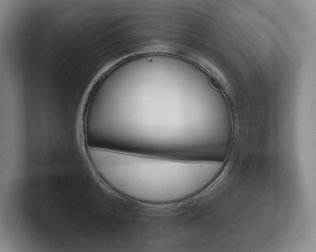 X0000102280800200807250940
