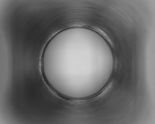 X0000102280802200807250940