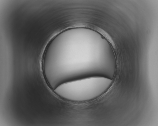 X0000102280805200807250940