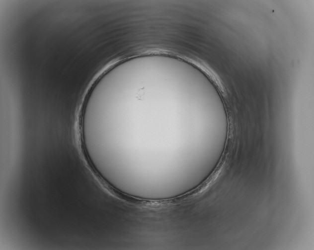 X0000102280806200807250940