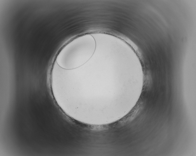 X0000102280807200807250940
