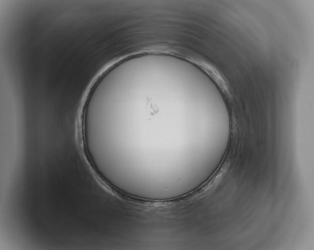 X0000102280808200807250940
