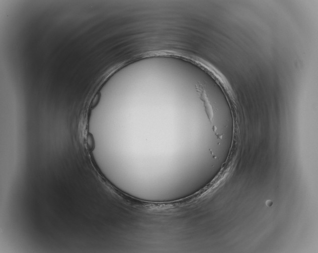 X0000102280809200807250940