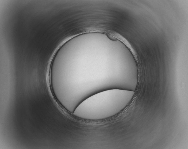 X0000102280811200807250940