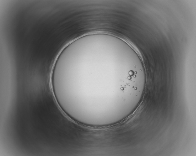 X0000102280813200807250940