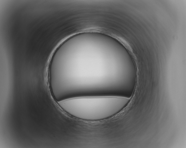 X0000102280816200807250940