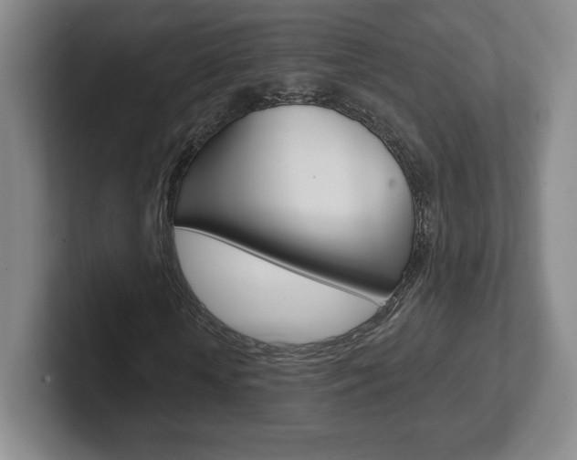 X0000102280818200807250939