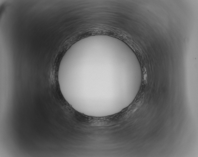 X0000102280819200807250939