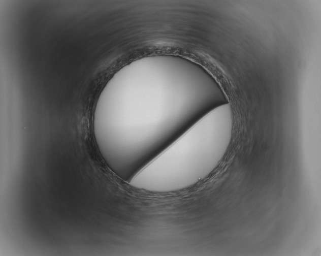 X0000102280821200807250939