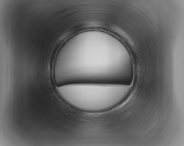 X0000102280825200807250939