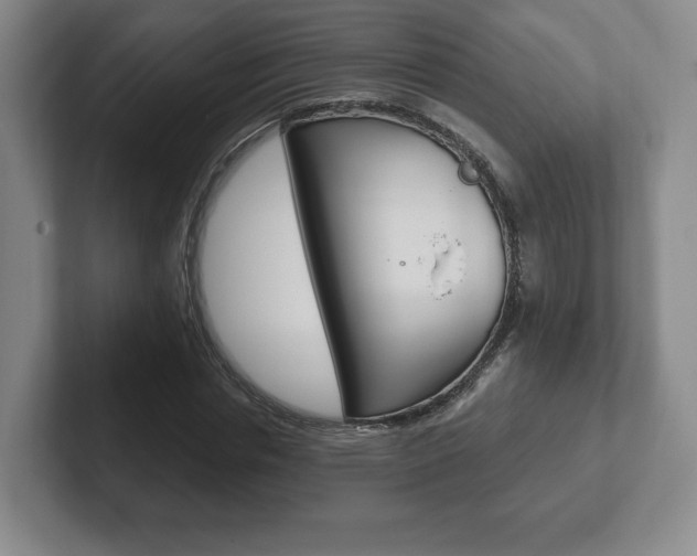 X0000102280826200807250939