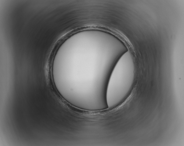 X0000102280831200807250939