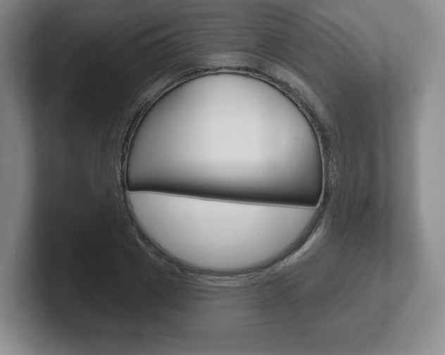 X0000102280833200807250939