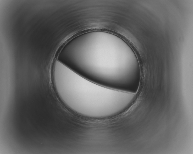 X0000102280834200807250939