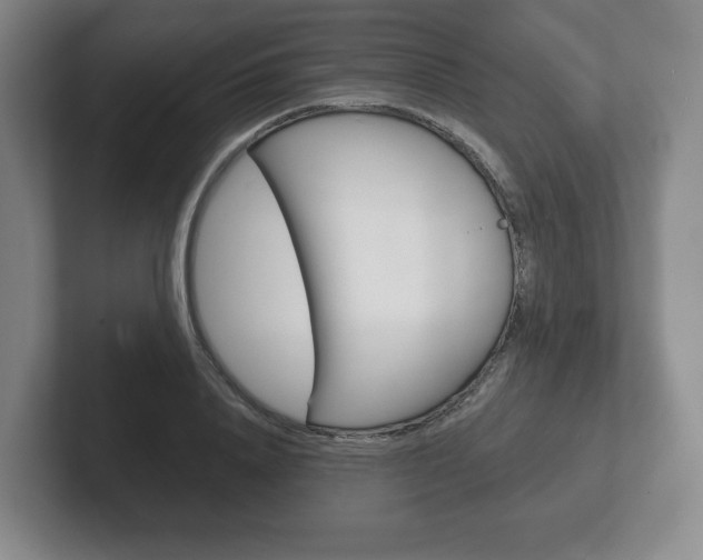 X0000102280840200807250939