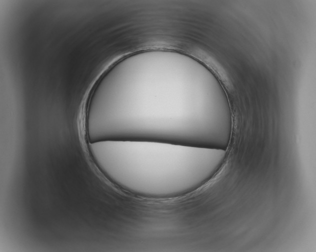 X0000102280844200807250939