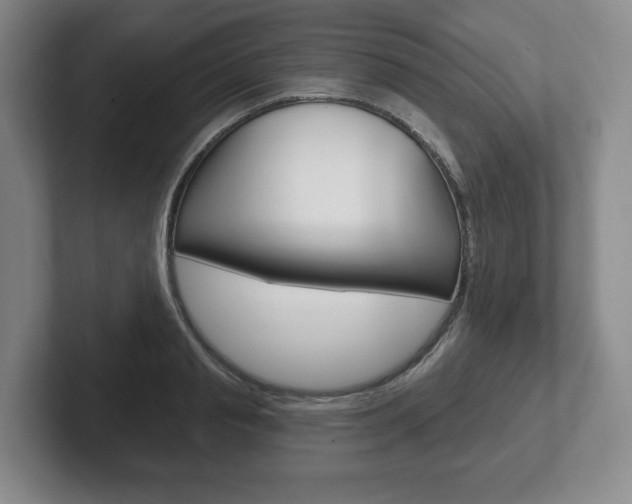 X0000102280845200807250939