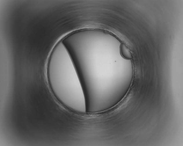 X0000102280846200807250939