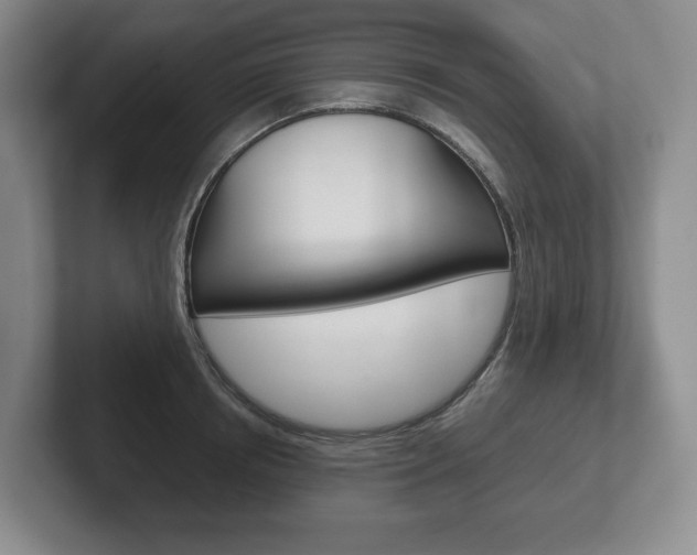 X0000102280850200807250939