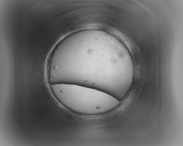 X0000102280851200807250939