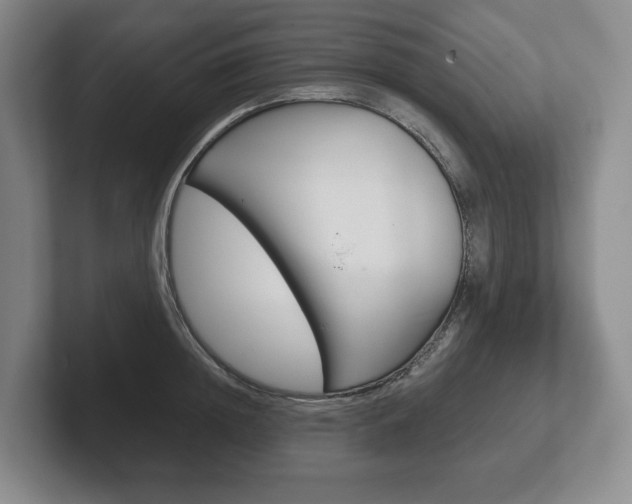 X0000102280852200807250939