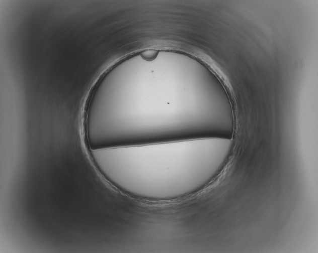 X0000102280853200807250939