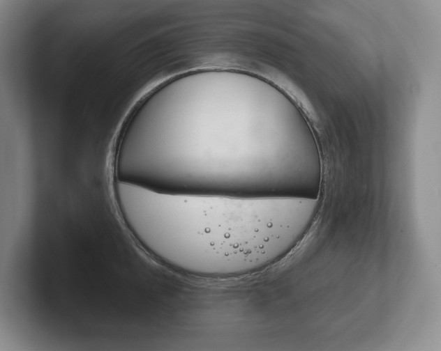 X0000102280854200807250939
