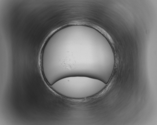 X0000102280855200807250939