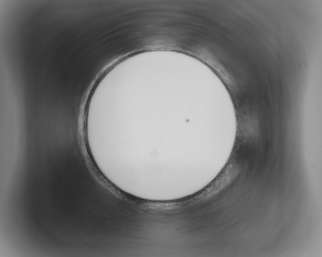 X0000102280856200807250940