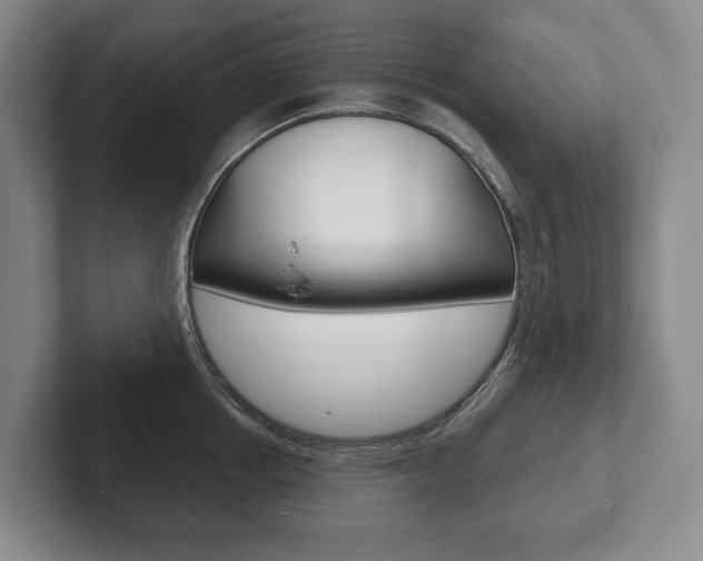 X0000102280858200807250940
