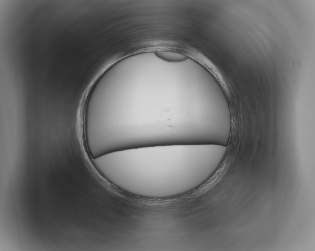 X0000102280859200807250940