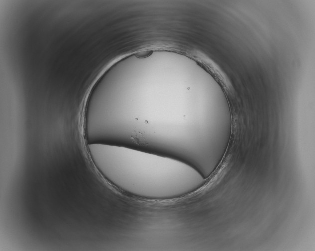 X0000102280860200807250940