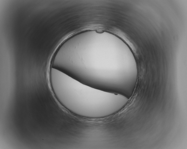 X0000102280861200807250940