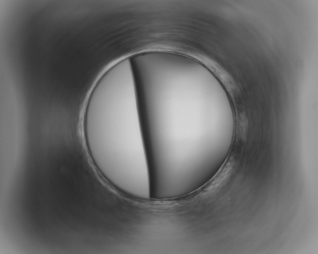 X0000102280862200807250940