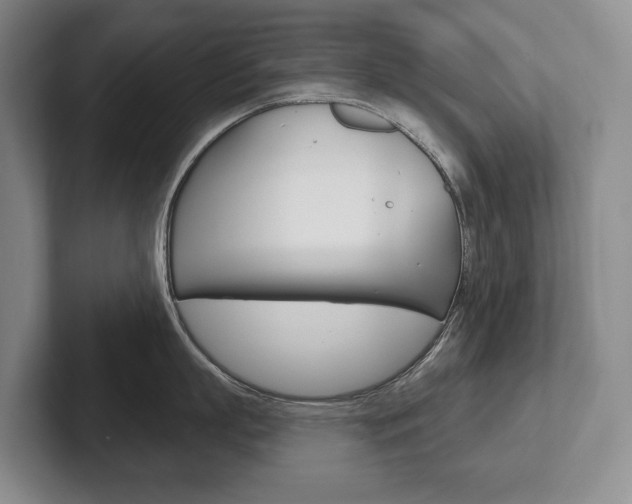X0000102280863200807250940
