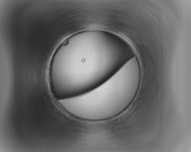X0000102280864200807250940