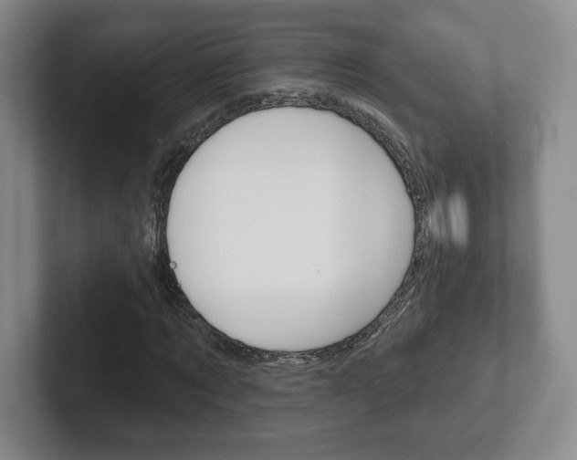 X0000102280869200807250939