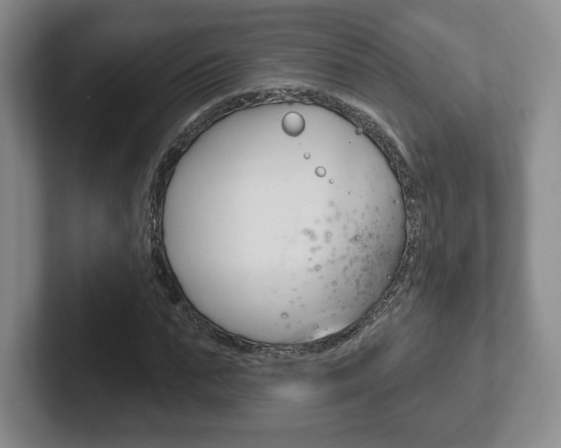 X0000102280871200807250939