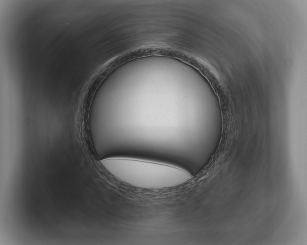 X0000102280872200807250939