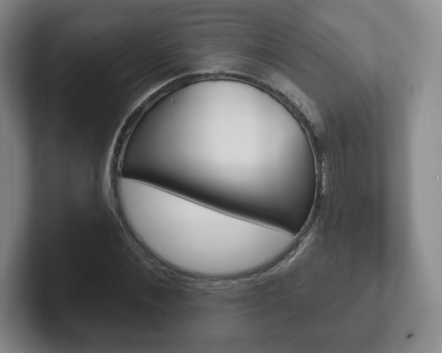 X0000102280876200807250939