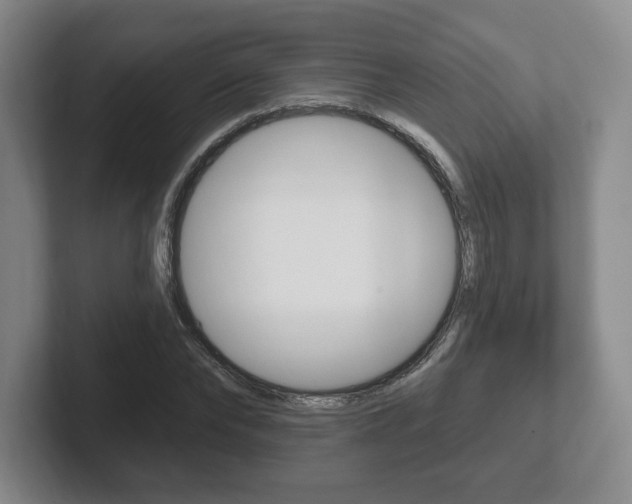 X0000102280878200807250939