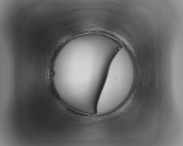 X0000102280881200807250939