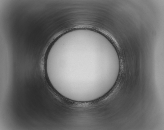 X0000102280882200807250939