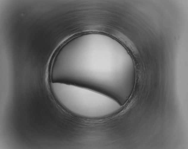 X0000102280884200807250939