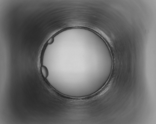 X0000102280885200807250939