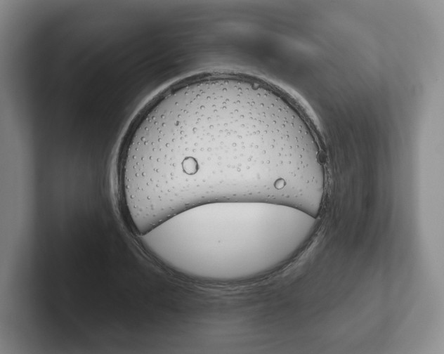 X0000102280887200807250939